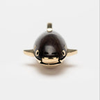 Red Bean Shark