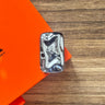 Titanium Polished (Mini)